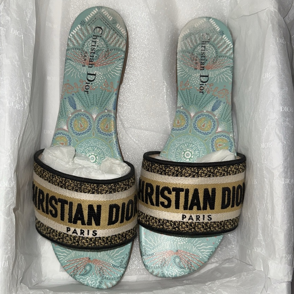 Dior In Lights Dway Turquoise Embroidered Logo sandalwood